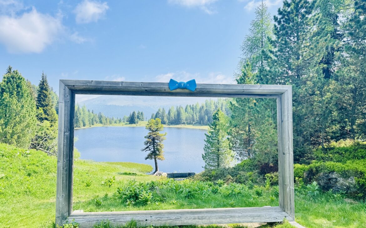 Barfuß durch das Hochmoor – Familienabenteuer mit dem Butler auf der Turracher Höhe Barfusswanderung Hochmoor Butler Programm Turracher Hoehe Kaernten 2 1170x730 - Barfuß durch das Hochmoor – Familienabenteuer mit dem Butler auf der Turracher Höhe