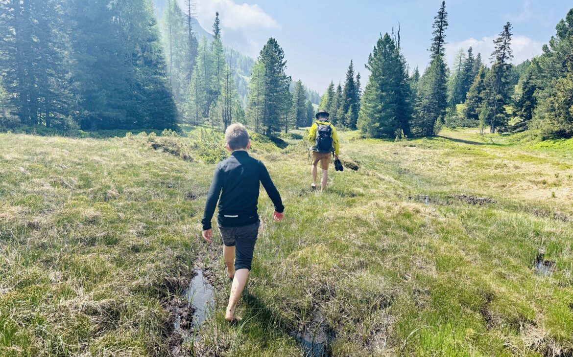 Barfuß durch das Hochmoor – Familienabenteuer mit dem Butler auf der Turracher Höhe Barfusswanderung Hochmoor Butler Programm Turracher Hoehe Kaernten 4 1170x730 - Barfuß durch das Hochmoor – Familienabenteuer mit dem Butler auf der Turracher Höhe
