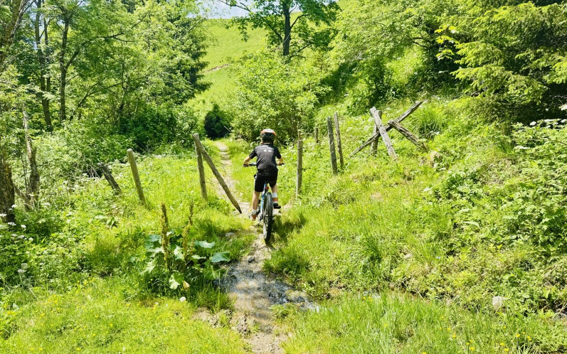 Mountainbike tour Turracher Hoehe mit Kindern 8 1170x730 - Familienurlaub im Sommer auf der Turracher Höhe: Natur, Abenteuer & Erholung
