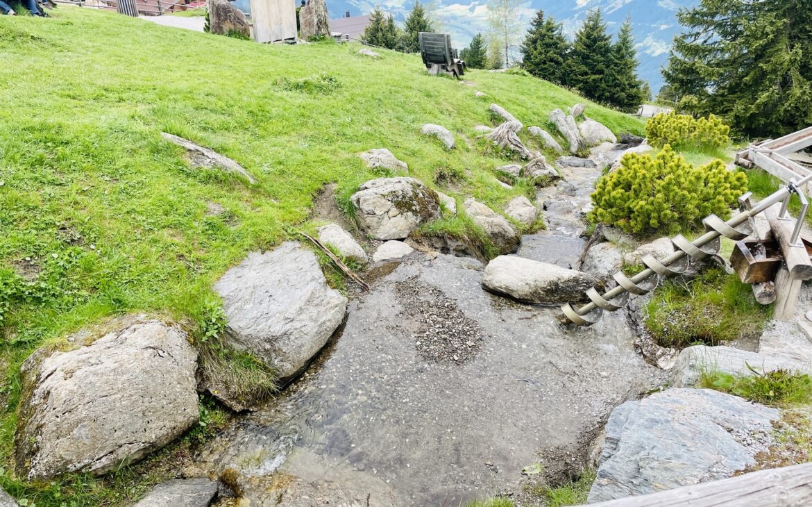 Fichtenschloss Zell am Ziller 8 1170x730 - Fichtenschloss Rosenalm Zell am Ziller