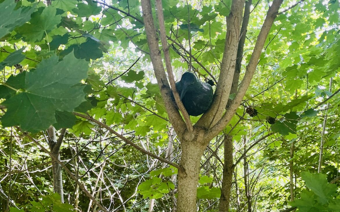 Geocaching Kindergeburtstag - Anleitung Geocaching Kindergeburtstag 23 1170x730 - Geocaching Kindergeburtstag - Anleitung