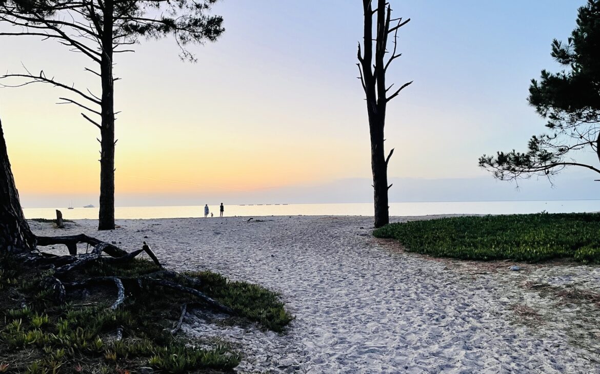 Schoenste Straende Korsika 6 1170x730 - Korsika schönste Strände