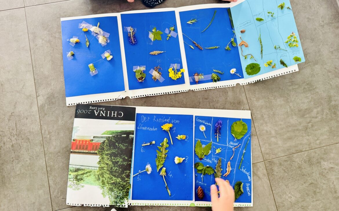 Lapbook Natur 4 1170x730 - Lapbook Natur - Kinder einfach machen lassen