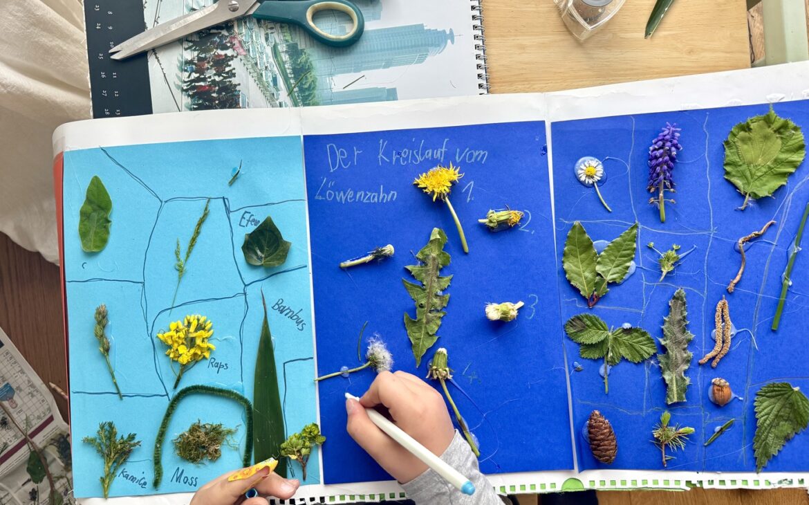 Lapbook Natur 6 1170x730 - Lapbook Natur - Kinder einfach machen lassen