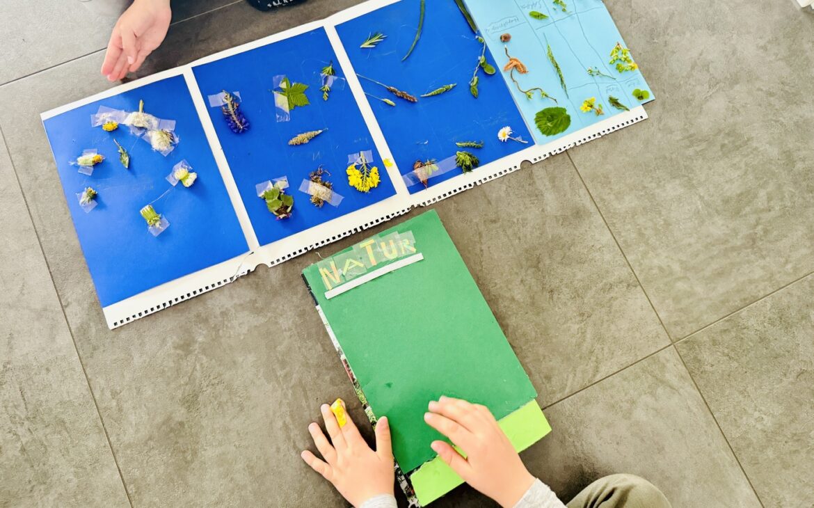 Lapbook Natur 5 1170x730 - Lapbook Natur - Kinder einfach machen lassen
