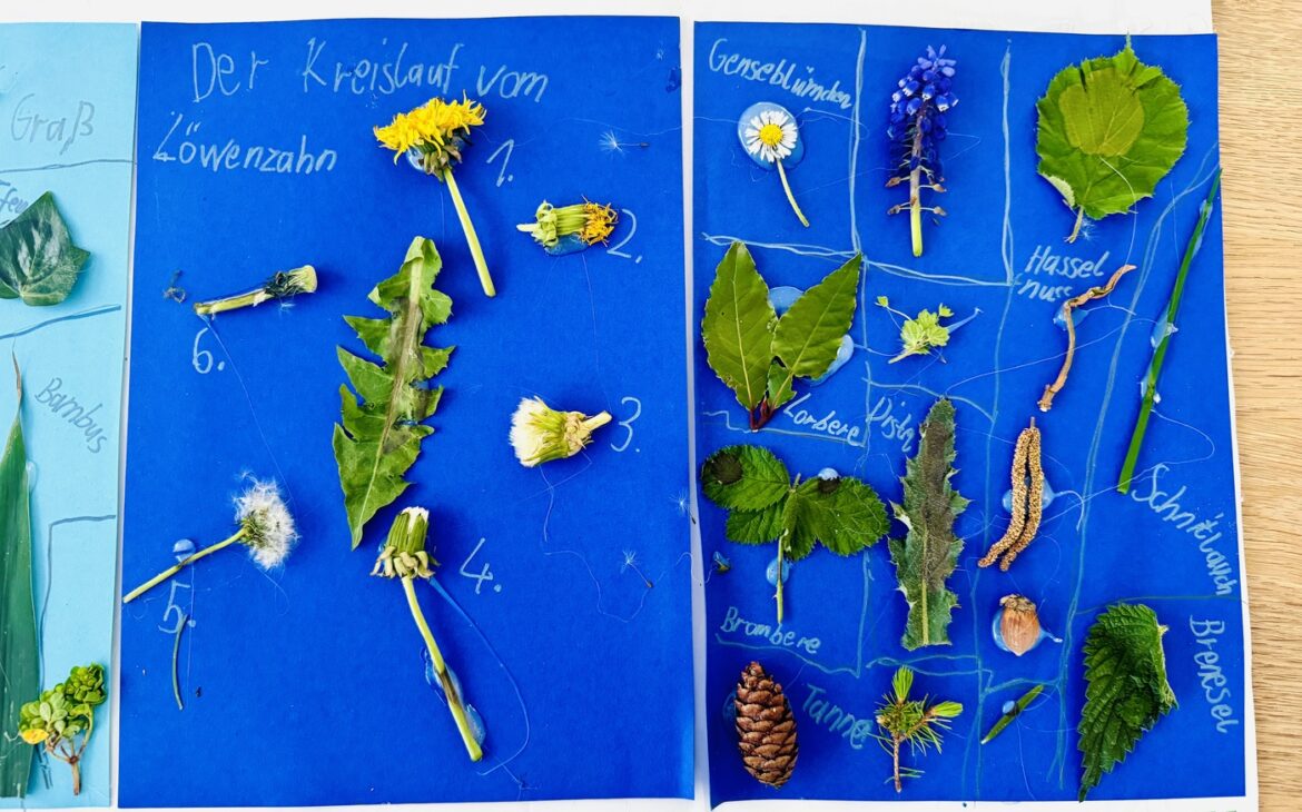 Lapbook Natur 2 1170x730 - Lapbook Natur - Kinder einfach machen lassen