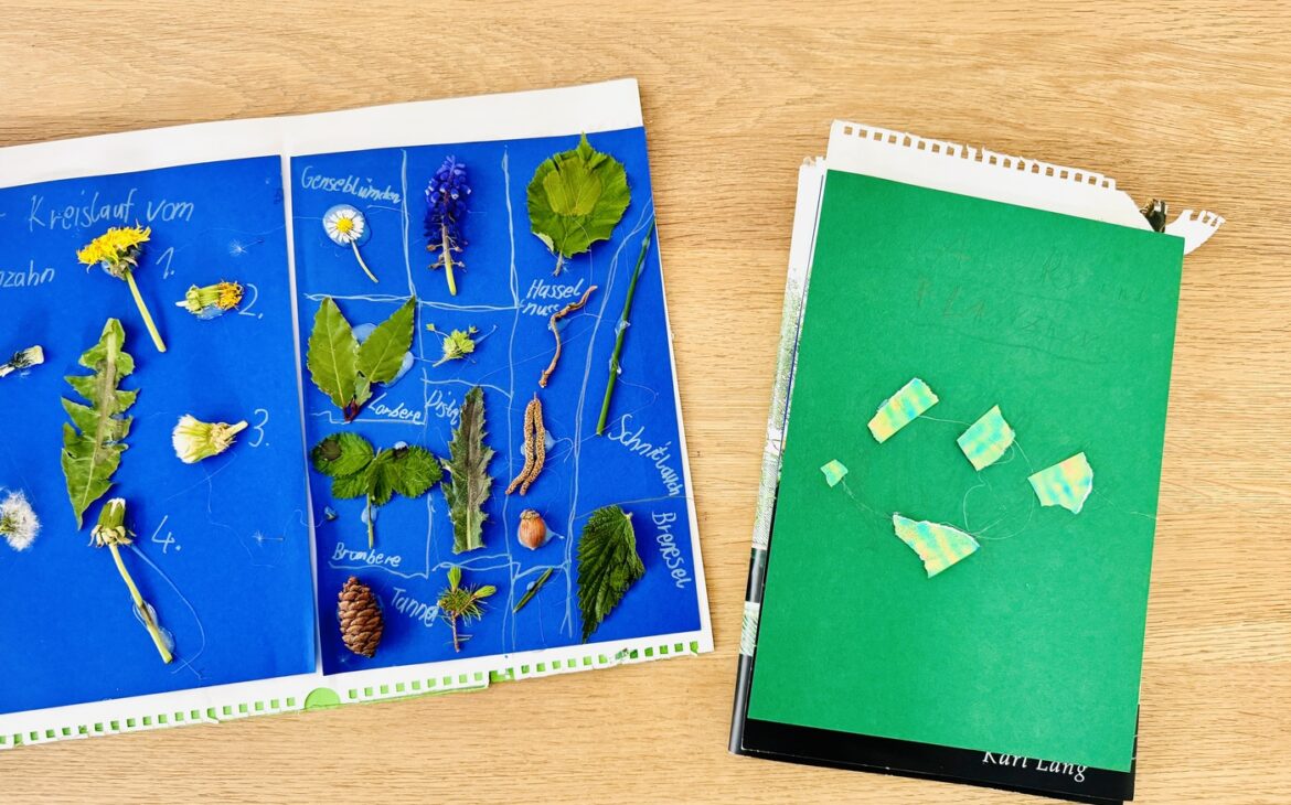Lapbook Natur 1 1170x730 - Lapbook Natur - Kinder einfach machen lassen