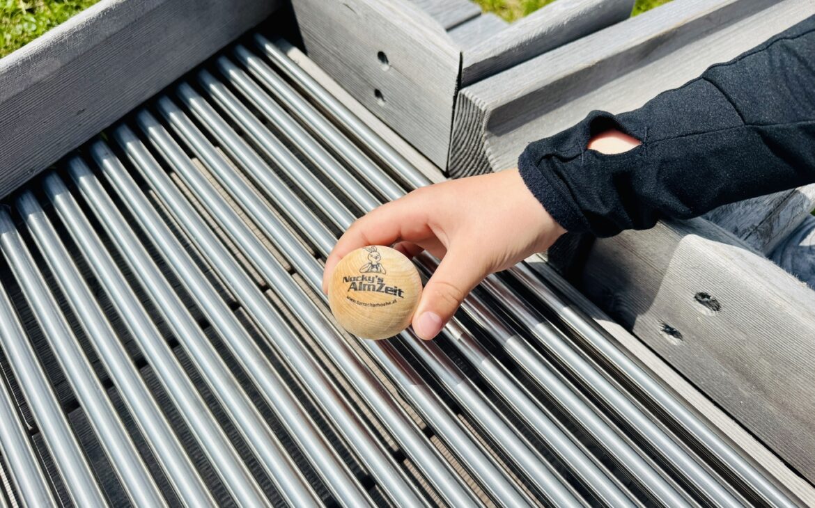 Nockys AlmZeit Turracher Hoehe Kaernten 8 1170x730 - Nocky’s AlmZeit auf der Turracher Höhe – Ein Familienerlebnis auf 2.000 Metern