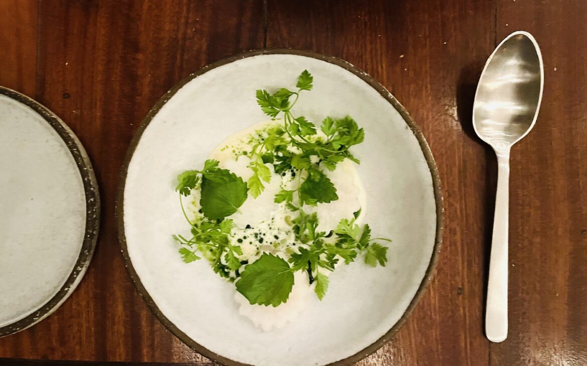 Vaekst Kopenhagen 8 1170x730 - Restaurant-Tipp Kopenhagen: Vaekst