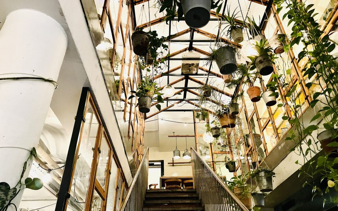Vaekst Kopenhagen 3 1170x730 - Restaurant-Tipp Kopenhagen: Vaekst