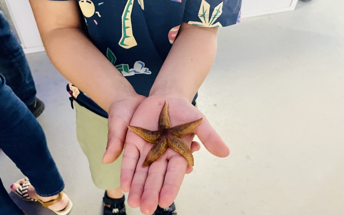 Travemuende mit Kindern 6 1170x730 - Travemünde mit Kind: Die besten Tipps für den Ostsee-Urlaub