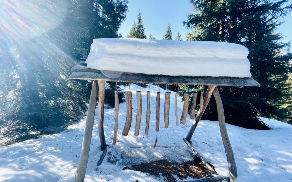 Skifahren Ratschings Jaufen 7 1170x730 - Winterwanderung Ratschings Jaufen in Südtirol