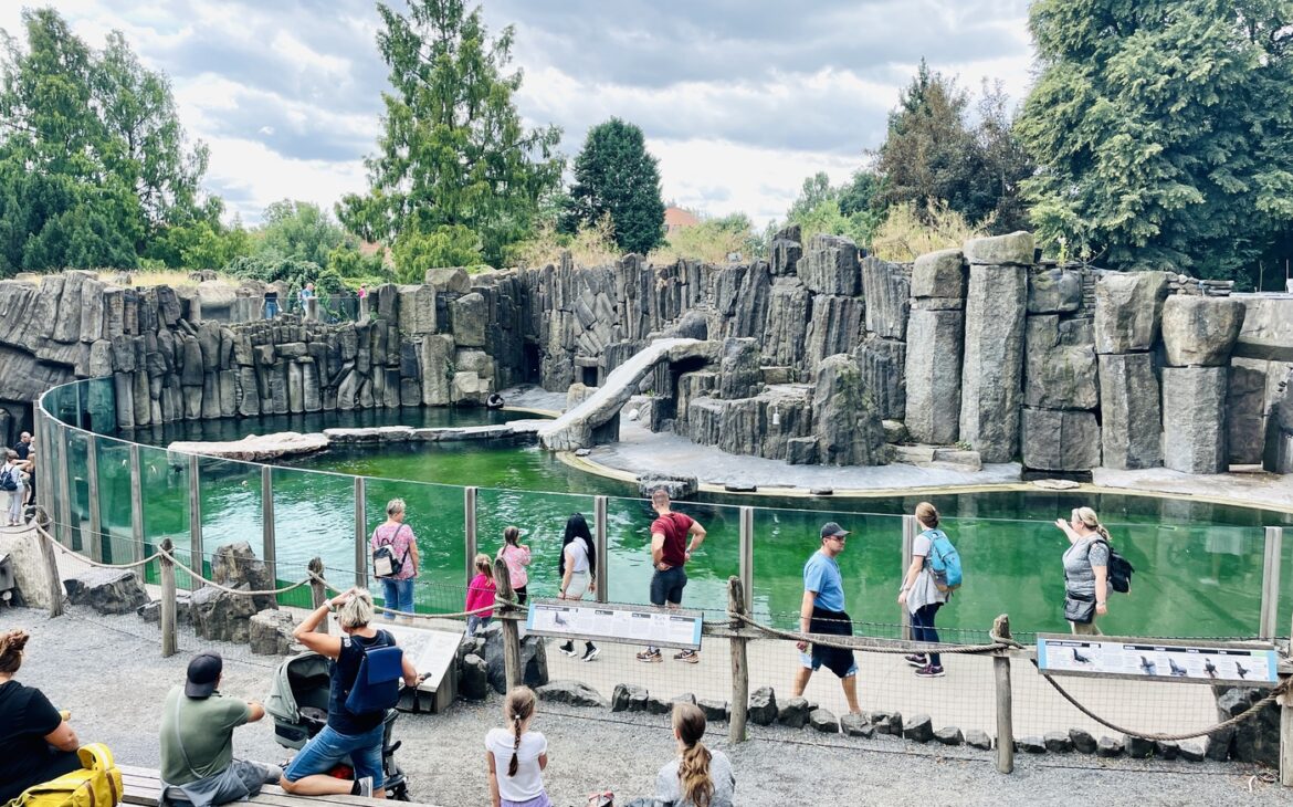 Zoo Prag - Alle Informationen zum Besuch Prager Zoo Zoo Prag 1 1170x730 - Zoo Prag - Alle Informationen zum Besuch Prager Zoo
