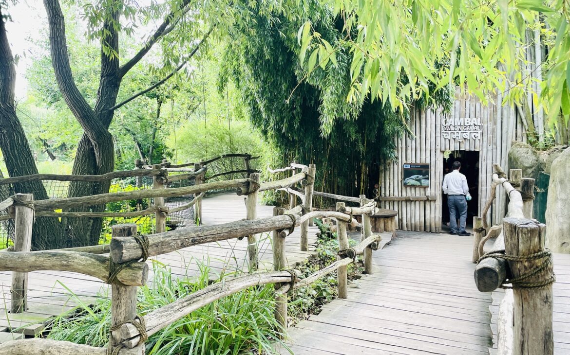 Zoo Prag - Alle Informationen zum Besuch Prager Zoo Zoo Prag 10 1170x730 - Zoo Prag - Alle Informationen zum Besuch Prager Zoo